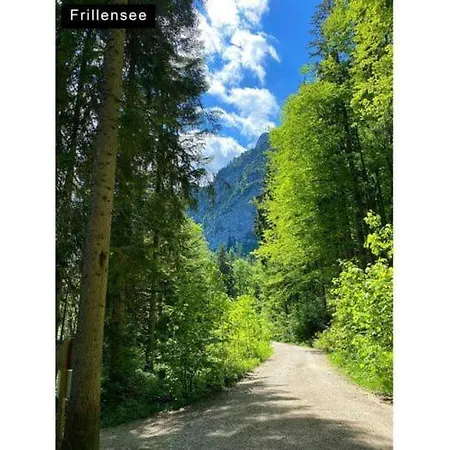 Apartment Susan - Haus Alpenblick
